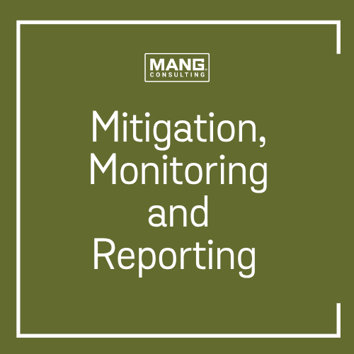 Mitigation, Monitoring & Reporting Services
