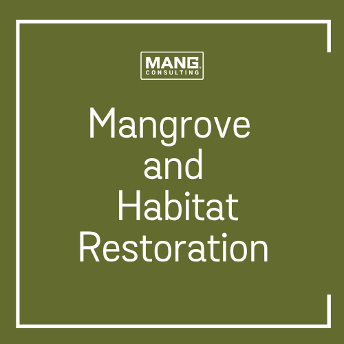 Mangrove & Habitat Restoration Services