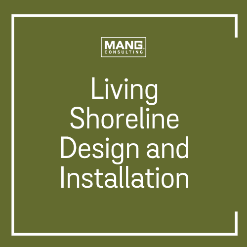 Living Shoreline Design & Installation Services